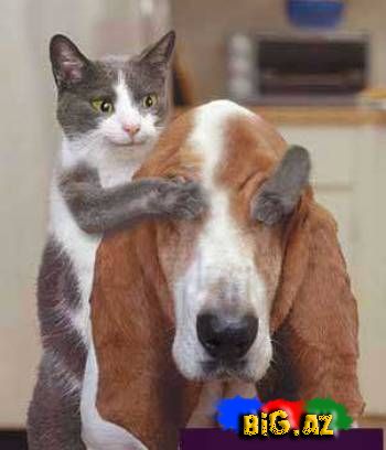 Maraqlı Şəkillər